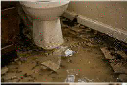 Bathroom floor damaged by contaminated standing water and debris