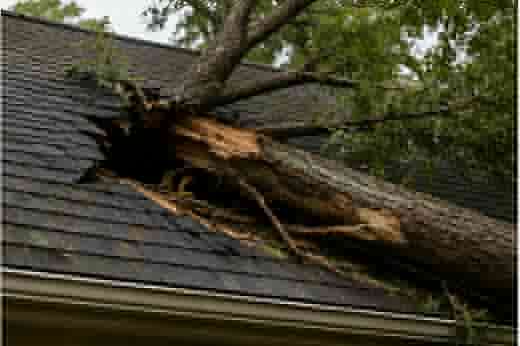 House roof severely damaged by a fallen tree after a storm